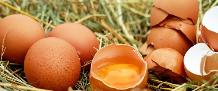 Eiersatz beim Kochen und Backen