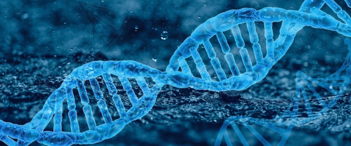 Erfahrungsbericht: Labortest zur Bestimmung des biologischen Alters durch epigenetische Marker