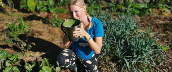 Mein grüner Smoothie von heute, antientzündlich mit Fett & Protein